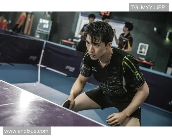 深圳乒乓球队的奋斗与荣耀：一段不平凡的突破之路纪实