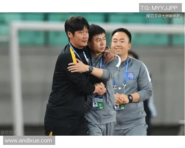 武汉羽毛球队个人能力引发热议球员表现与团队协作的深度探讨